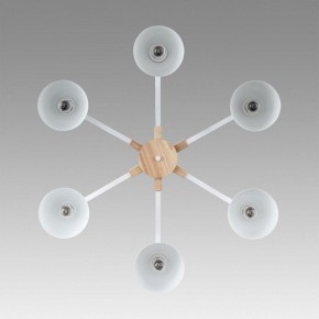 Люстра на штанге Lumion Colange 8095/6C в Челябинске - cheliabinsk.ok-mebel.com | фото 4