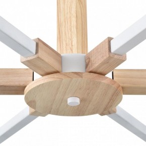Люстра на штанге Lumion Colange 8095/6C в Челябинске - cheliabinsk.ok-mebel.com | фото 7