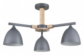 Люстра на штанге Lumion Colange 8096/3C в Челябинске - cheliabinsk.ok-mebel.com | фото