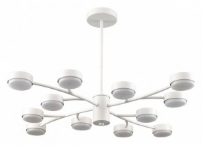 Люстра на штанге Lumion TORINA 8265/12 в Челябинске - cheliabinsk.ok-mebel.com | фото