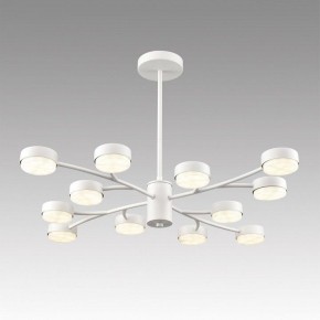 Люстра на штанге Lumion TORINA 8265/12 в Челябинске - cheliabinsk.ok-mebel.com | фото 3