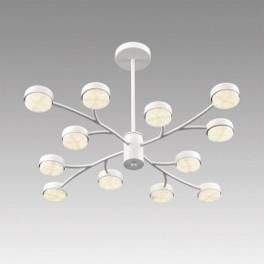 Люстра на штанге Lumion TORINA 8265/12 в Челябинске - cheliabinsk.ok-mebel.com | фото 5