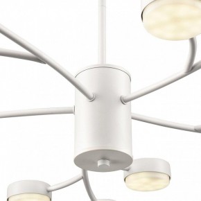 Люстра на штанге Lumion TORINA 8265/15 в Челябинске - cheliabinsk.ok-mebel.com | фото 8