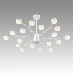 Люстра на штанге Lumion TORINA 8265/18 в Челябинске - cheliabinsk.ok-mebel.com | фото 5