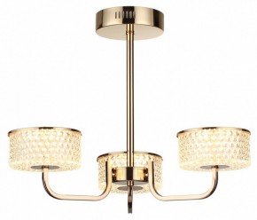 Люстра на штанге Lumion Venice 6579/40CL в Челябинске - cheliabinsk.ok-mebel.com | фото 5