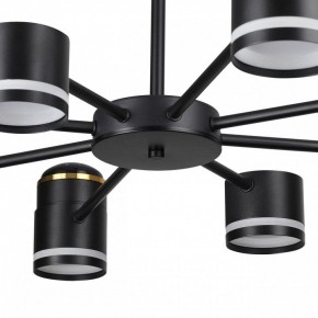 Люстра на штанге Lumion Virsava 8234/8C в Челябинске - cheliabinsk.ok-mebel.com | фото 10