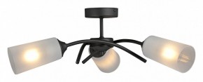 Люстра на штанге Vitaluce V2850 V2850-1/3PL в Челябинске - cheliabinsk.ok-mebel.com | фото 3
