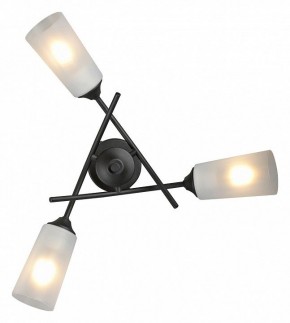 Люстра на штанге Vitaluce V2850 V2850-1/3PL в Челябинске - cheliabinsk.ok-mebel.com | фото 4