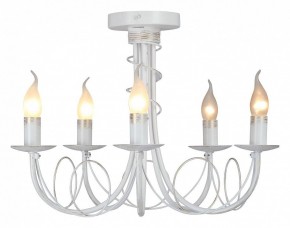 Люстра на штанге Vitaluce V3035 V3035-0/5PL в Челябинске - cheliabinsk.ok-mebel.com | фото 2