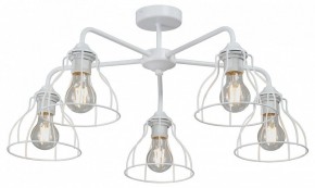 Люстра на штанге Vitaluce V3102 V3102-0/5PL в Челябинске - cheliabinsk.ok-mebel.com | фото