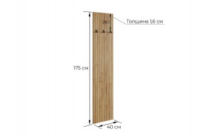 МЕБЕЛЬСОН К7 Прихожая в Челябинске - cheliabinsk.ok-mebel.com | фото 4