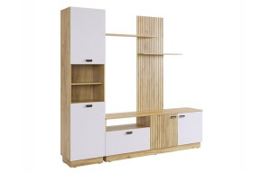 МОДИ К1 Гостиная (белое дерево) в Челябинске - cheliabinsk.ok-mebel.com | фото 6