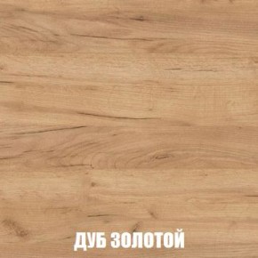 МСП-1 Шкаф 2-х створчатый (Дуб Золотой/Камень темный) в Челябинске - cheliabinsk.ok-mebel.com | фото 4