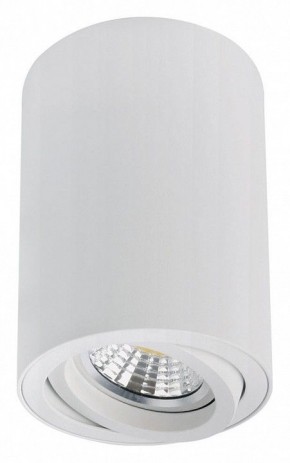 Накладной светильник Arte Lamp Sentry A1566PL-1WH в Челябинске - cheliabinsk.ok-mebel.com | фото