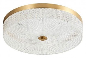 Накладной светильник Arti Lampadari Viro Viro L 1.13.35x9 G в Челябинске - cheliabinsk.ok-mebel.com | фото