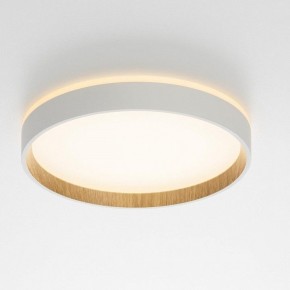 Накладной светильник Citilux Etalon CL750240 в Челябинске - cheliabinsk.ok-mebel.com | фото 12