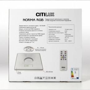Накладной светильник Citilux Norma CL749K400 в Челябинске - cheliabinsk.ok-mebel.com | фото 17