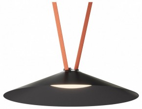 Накладной светильник Denkirs Belty Flow DK5569-BK в Челябинске - cheliabinsk.ok-mebel.com | фото 2
