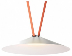 Накладной светильник Denkirs Belty Flow DK5569-WH+BK в Челябинске - cheliabinsk.ok-mebel.com | фото