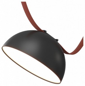 Накладной светильник Denkirs Belty Flow DK5660-BK в Челябинске - cheliabinsk.ok-mebel.com | фото
