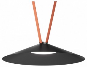 Накладной светильник Denkirs Belty Flow DK5668-BK в Челябинске - cheliabinsk.ok-mebel.com | фото