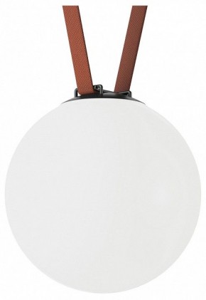 Накладной светильник Denkirs Belty Orb DK5554-BK в Челябинске - cheliabinsk.ok-mebel.com | фото
