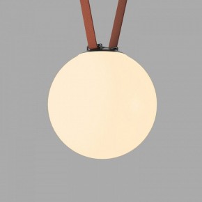 Накладной светильник Denkirs Belty Orb DK5555-BK в Челябинске - cheliabinsk.ok-mebel.com | фото 2