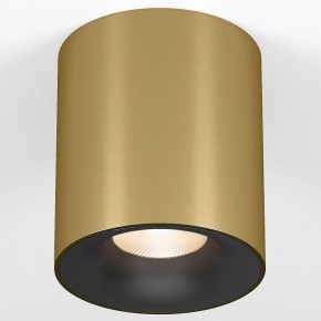 Накладной светильник Elektrostandard Primo 25116/LED в Челябинске - cheliabinsk.ok-mebel.com | фото