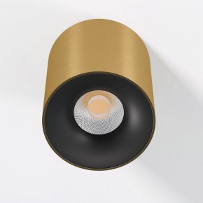 Накладной светильник Elektrostandard Primo 25116/LED в Челябинске - cheliabinsk.ok-mebel.com | фото