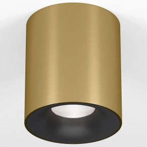 Накладной светильник Elektrostandard Primo 25116/LED в Челябинске - cheliabinsk.ok-mebel.com | фото 2