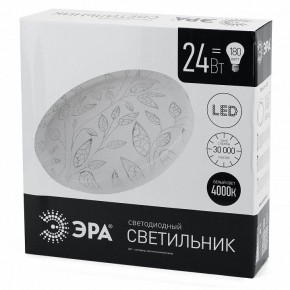 Накладной светильник Эра Классик SPB-6-24-4K (C) в Челябинске - cheliabinsk.ok-mebel.com | фото 4