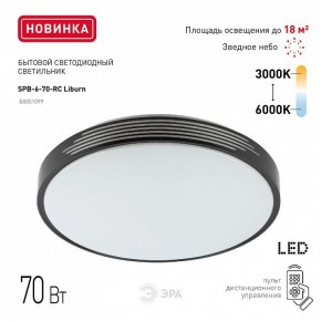 Накладной светильник Эра Классик SPB-6-70-RC Liburn в Челябинске - cheliabinsk.ok-mebel.com | фото 10