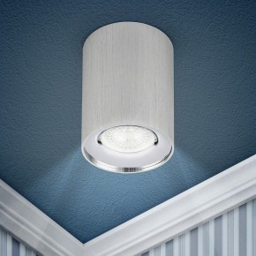 Накладной светильник Эра  OL1 GU10 SL/CH в Челябинске - cheliabinsk.ok-mebel.com | фото 3