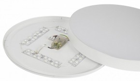 Накладной светильник Эра Relict Relict 48 Pult SPB-6-60-RC WH в Челябинске - cheliabinsk.ok-mebel.com | фото 11