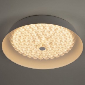 Накладной светильник Эра  SPB-6-80-RC Locus RGB в Челябинске - cheliabinsk.ok-mebel.com | фото 3