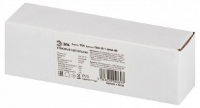 Накладной светильник Эра  TRM-S5-1-6W4K-BK в Челябинске - cheliabinsk.ok-mebel.com | фото 6