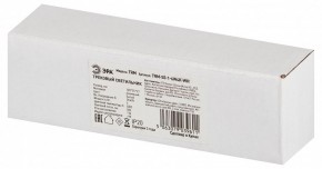 Накладной светильник Эра  TRM-S5-1-6W4K-WH в Челябинске - cheliabinsk.ok-mebel.com | фото 6