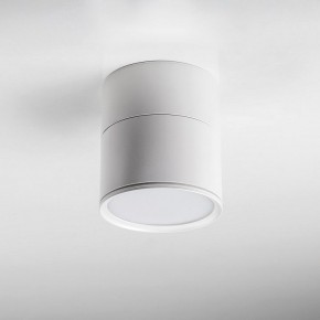 Накладной светильник Lightstar Acuto 215886 в Челябинске - cheliabinsk.ok-mebel.com | фото 3