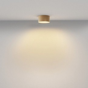 Накладной светильник Maytoni Zon C032CL-12W2.7K-RD-MG в Челябинске - cheliabinsk.ok-mebel.com | фото 4
