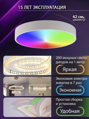 Накладной светильник Natali Kovaltseva MODERN LED LAMPS 81105/1C в Челябинске - cheliabinsk.ok-mebel.com | фото 6