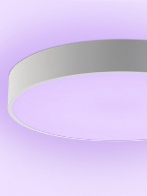 Накладной светильник Natali Kovaltseva MODERN LED LAMPS 81105/1C в Челябинске - cheliabinsk.ok-mebel.com | фото 9