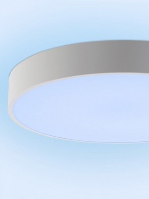 Накладной светильник Natali Kovaltseva MODERN LED LAMPS 81105/2C в Челябинске - cheliabinsk.ok-mebel.com | фото 12