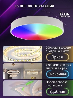 Накладной светильник Natali Kovaltseva MODERN LED LAMPS 81105/2C в Челябинске - cheliabinsk.ok-mebel.com | фото 6