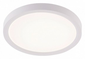 Накладной светильник Natali Kovaltseva PLAIN LED LAMPS 81113/1C в Челябинске - cheliabinsk.ok-mebel.com | фото