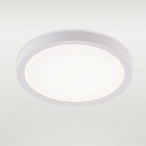 Накладной светильник Natali Kovaltseva PLAIN LED LAMPS 81113/1C в Челябинске - cheliabinsk.ok-mebel.com | фото 2