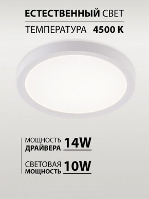 Накладной светильник Natali Kovaltseva PLAIN LED LAMPS 81113/1C в Челябинске - cheliabinsk.ok-mebel.com | фото 4