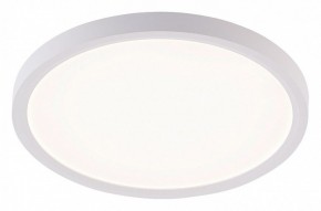 Накладной светильник Natali Kovaltseva PLAIN LED LAMPS 81113/2C в Челябинске - cheliabinsk.ok-mebel.com | фото