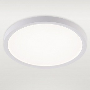 Накладной светильник Natali Kovaltseva PLAIN LED LAMPS 81113/2C в Челябинске - cheliabinsk.ok-mebel.com | фото 2