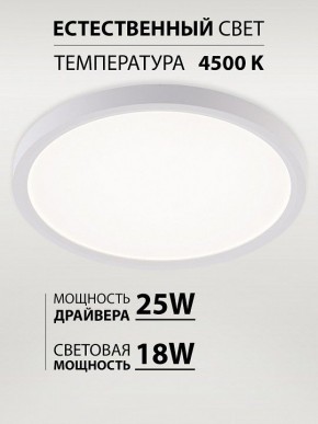 Накладной светильник Natali Kovaltseva PLAIN LED LAMPS 81113/2C в Челябинске - cheliabinsk.ok-mebel.com | фото 3