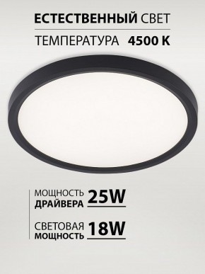 Накладной светильник Natali Kovaltseva PLAIN LED LAMPS 81114/2C в Челябинске - cheliabinsk.ok-mebel.com | фото 3